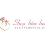 Shop Bán Hoa Profile Picture