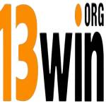 13WIN org Profile Picture