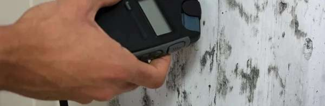 Mould Doctors Cover Image