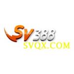 SV388 svqx Profile Picture