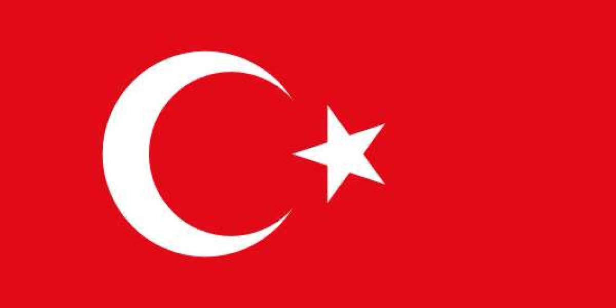 Exploring Turkey: A Visa Guide for Nepali and Palestinian Citizens