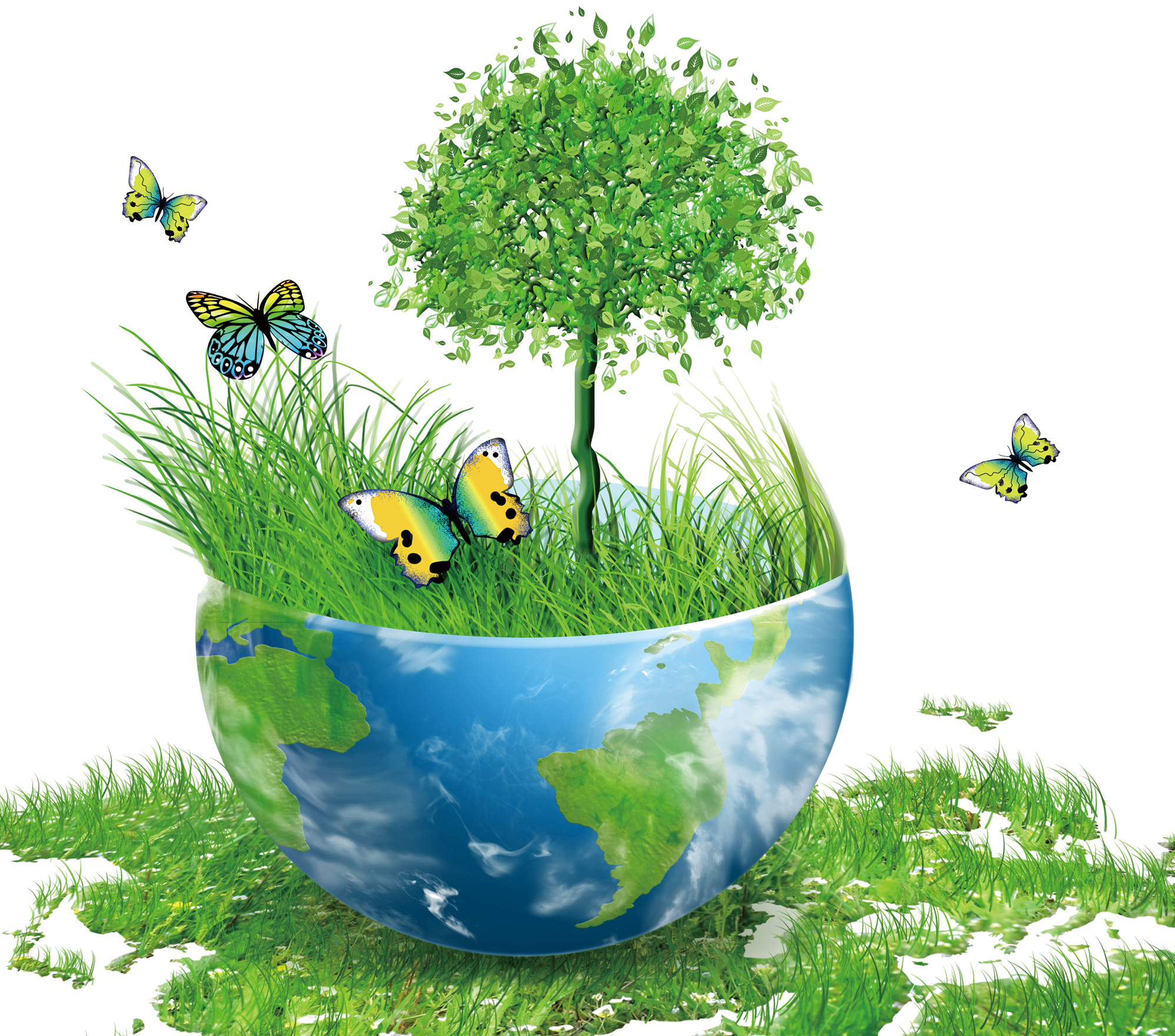 ISO 50001 Training - Integrated Assessment Services USA