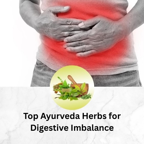 Top Ayurveda Herbs for Digestive Imbalance: A Beginner’s Guide - Herbs Solutions By Nature Blog