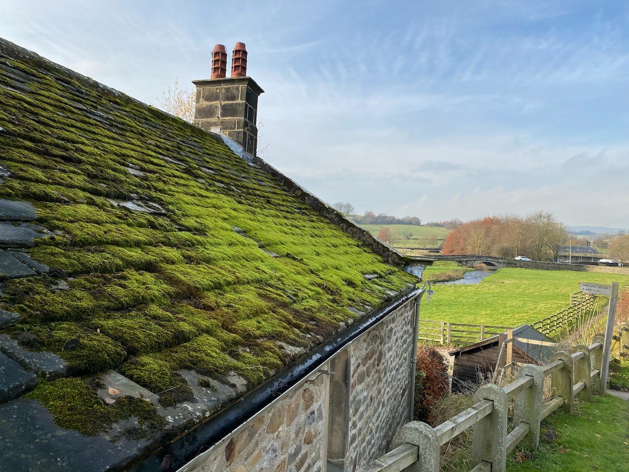 Professional Moss Removal Approaches for Different Materials