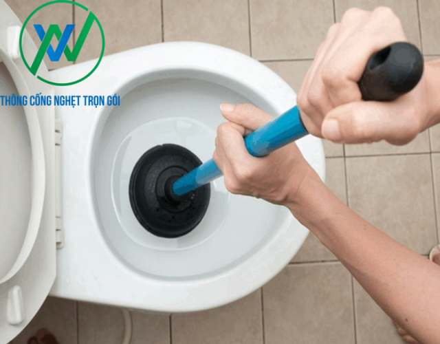 Cách thông bồn cầu bằng pittong hiệu quả nhanh chóng tại nhà