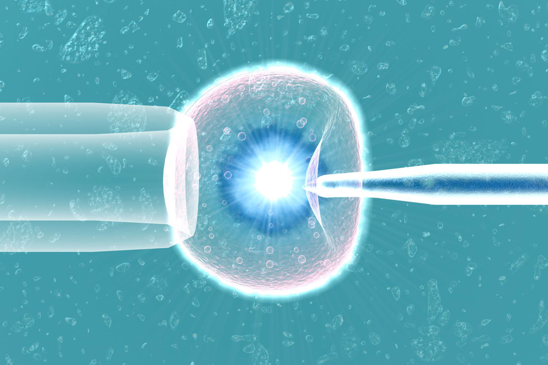 Affordable Laser-Assisted Hatching Treatment | IVF Success