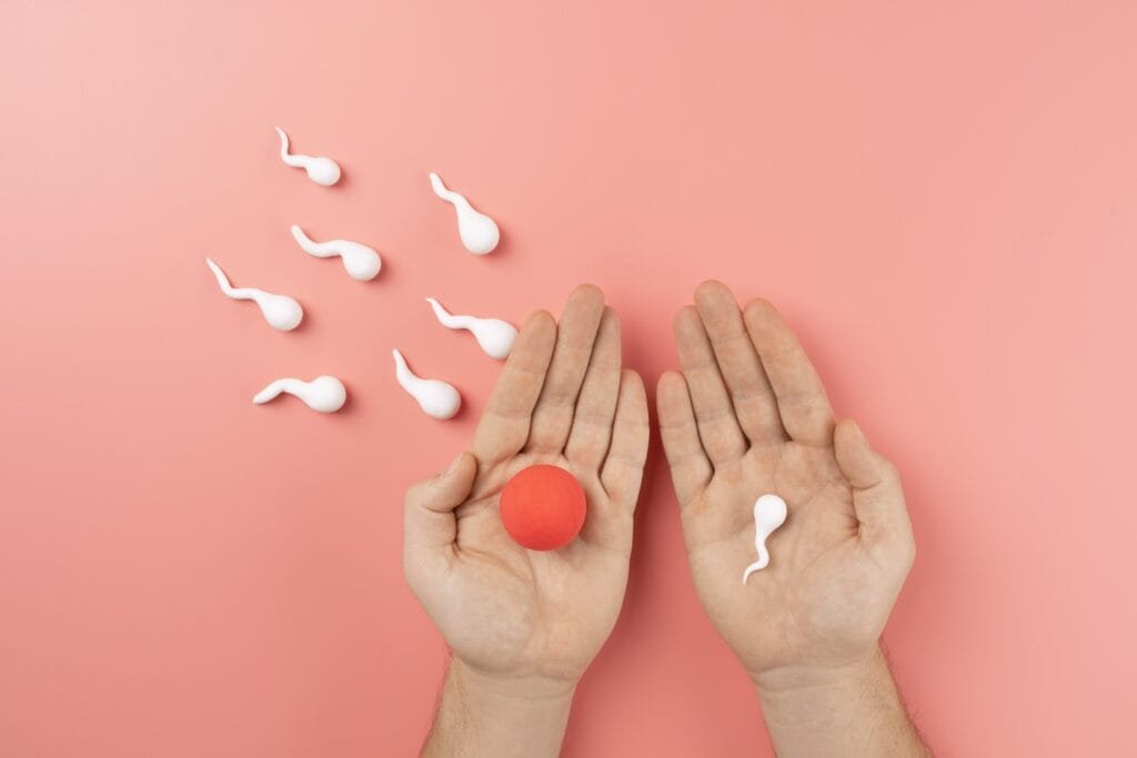 Endometriosis and Fertility: Is Surgery the Key to Conception?