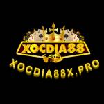 Xocdia 88 W Profile Picture