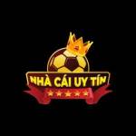 Nhacaiuytinovn38 profile picture