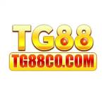 Tg88 Cocom Profile Picture