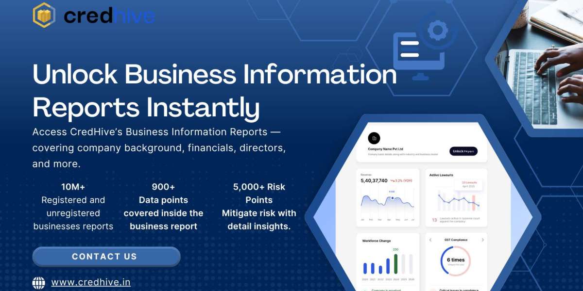 What Is a Business Information Report (BIR) and Why Every Company Needs One