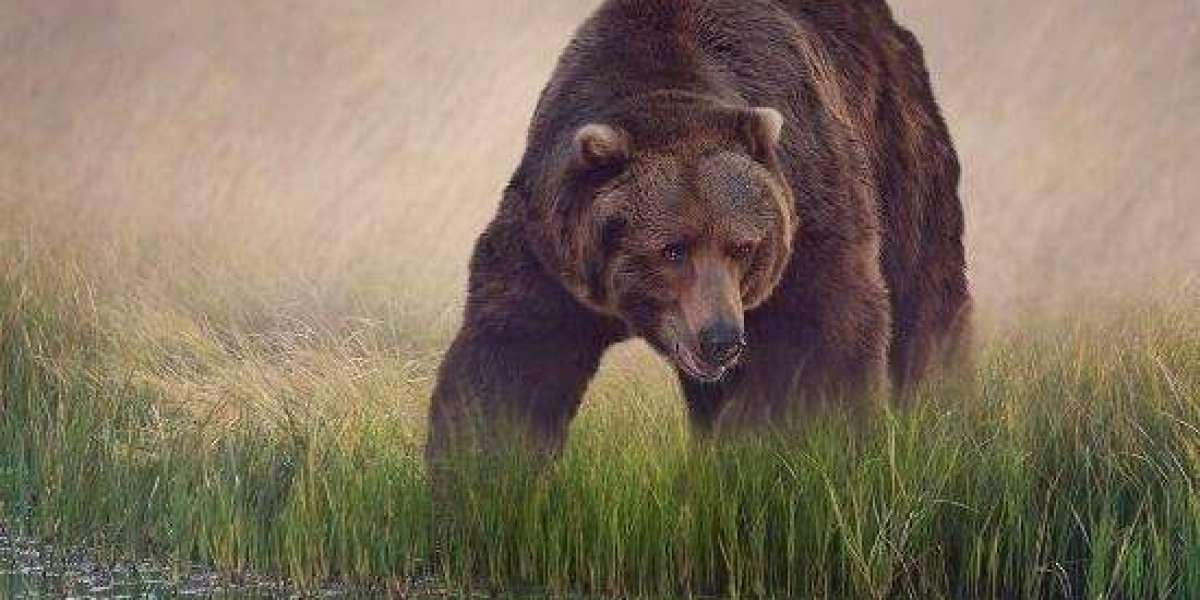 Twenty Five/7 Talent Agency - Transforming Lives And Breaking The Cycle Of Disadvantage