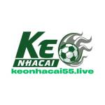 Kèo Nhà Cái 55 Phân Tích Tỷ Lệ Chuẩn Xác Bắt Kèo Hiệu Quả Mỗi Ngày Profile Picture