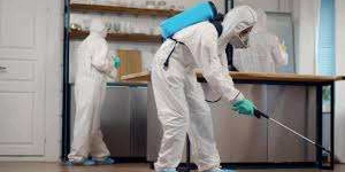 Home Protection Strategy: Keeping Your Living Space Safe from Unwanted Guests