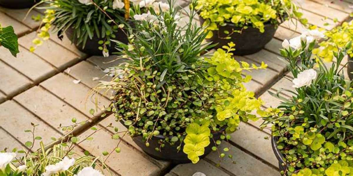 Smarter Water Starts Here: Houston’s Complete Home Filtration & Irrigation Experts