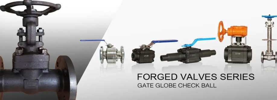 China Forged Valves Cover Image