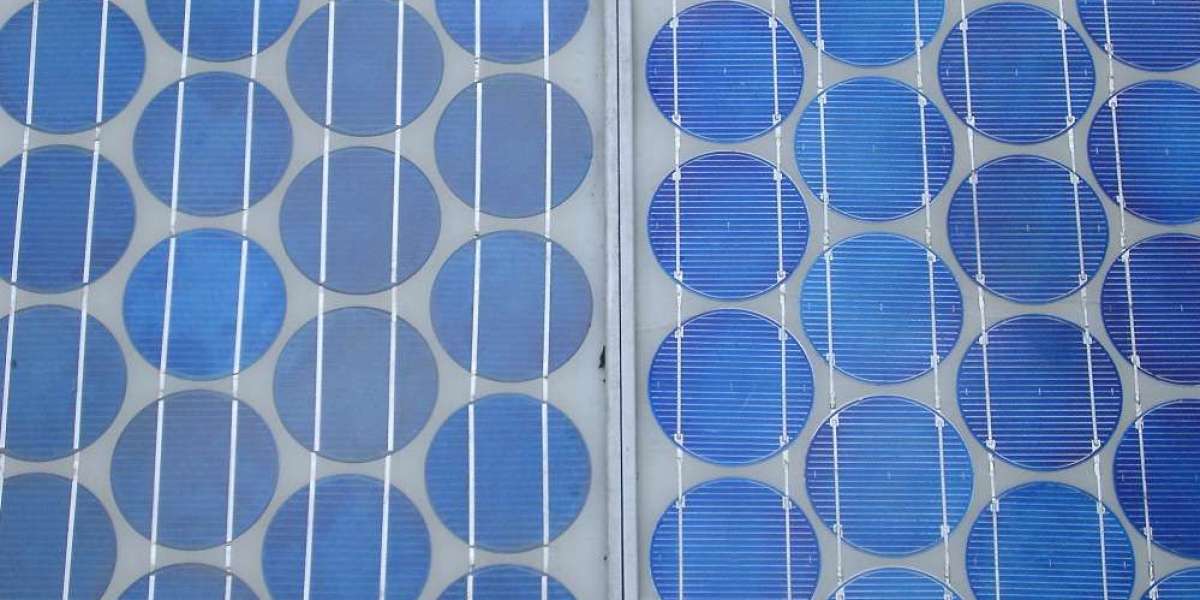 Somatoliberin – Die Schlüsselhormone für Wachstum und Stoffwechsel