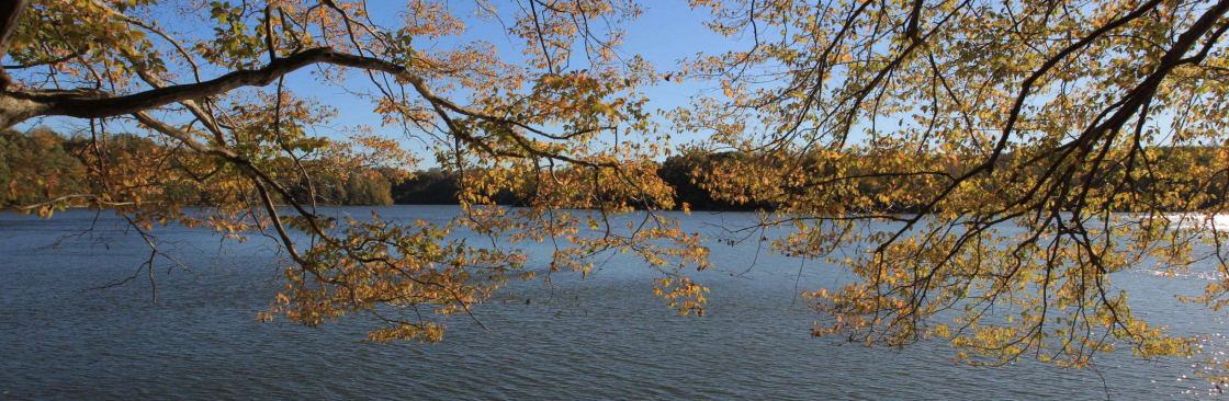 alexanderrogge Cover Image