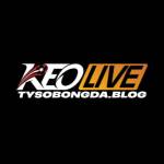 Tysobongda blog Soi Kèo Giải Đấu Hàng Đầu Premier League C1 Profile Picture