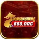 Rồng Bạch Kim 666 Profile Picture