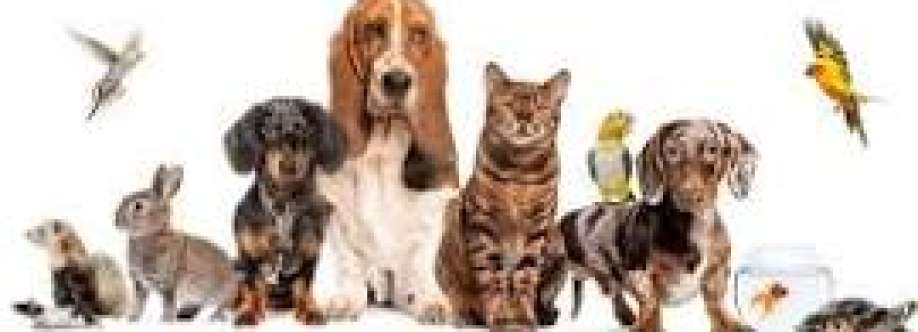 crazy pets Cover Image