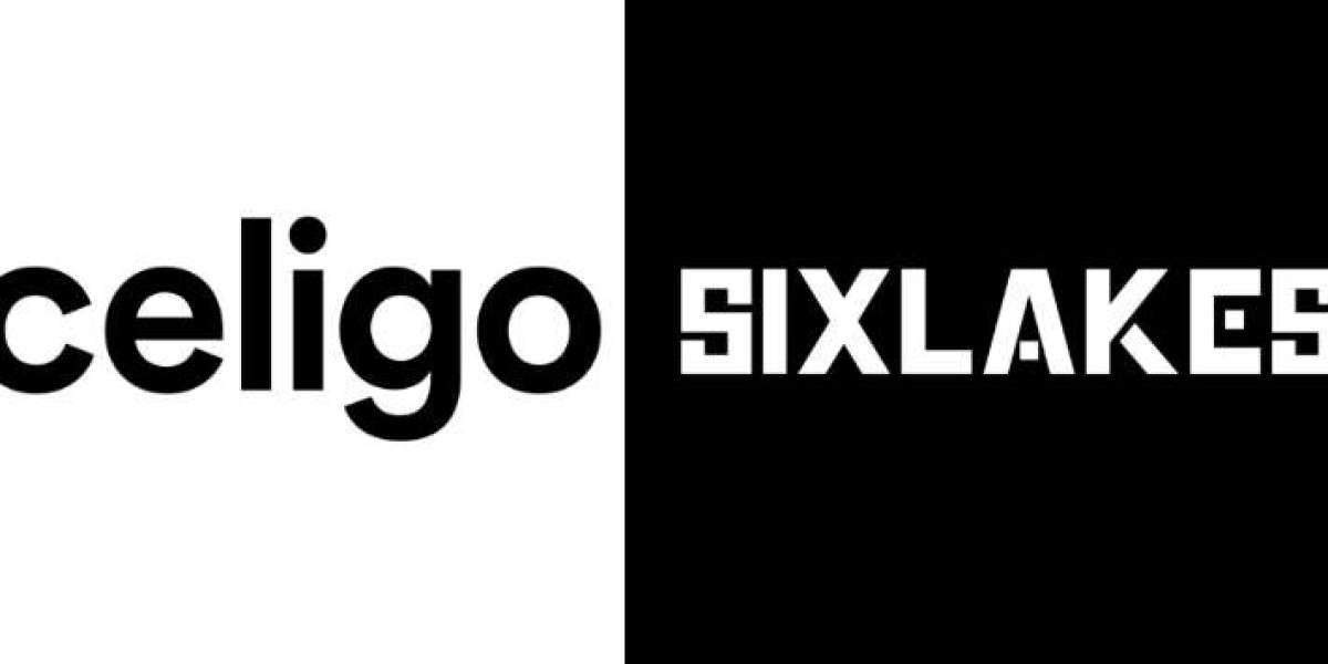 Celigo NetSuite Integration Experts | SixLakes Consulting