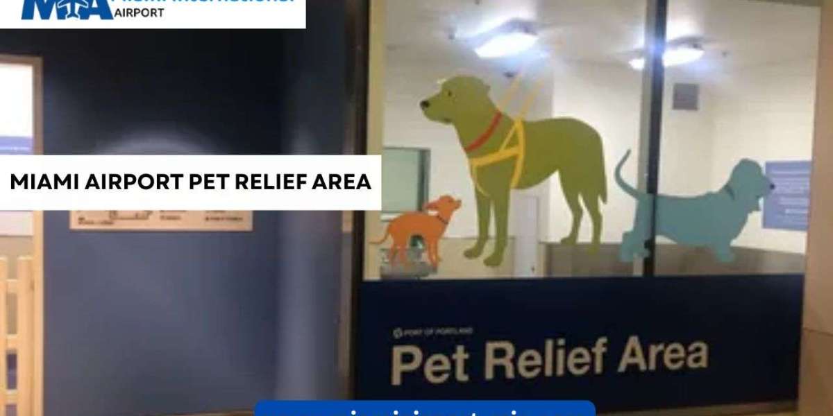 Miami Airport Pet Relief Area: Policy, Location, Travel Tips, and More