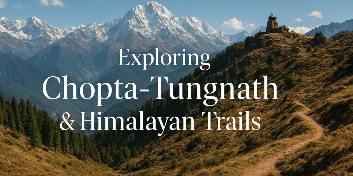 Exploring Divine Chopta-Tungnath & Himalayan Trails