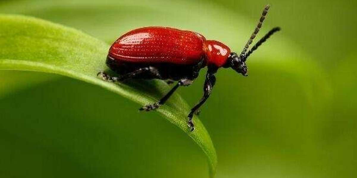 NHS: A Universal Embrace