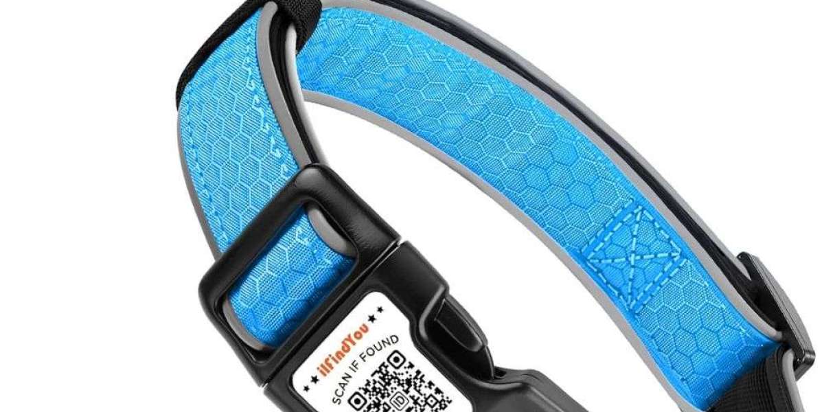 The Complete Guide to Choosing the Perfect Dog Collar for Your Pet