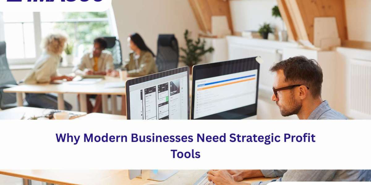 Why Modern Businesses Need Strategic Profit Tools