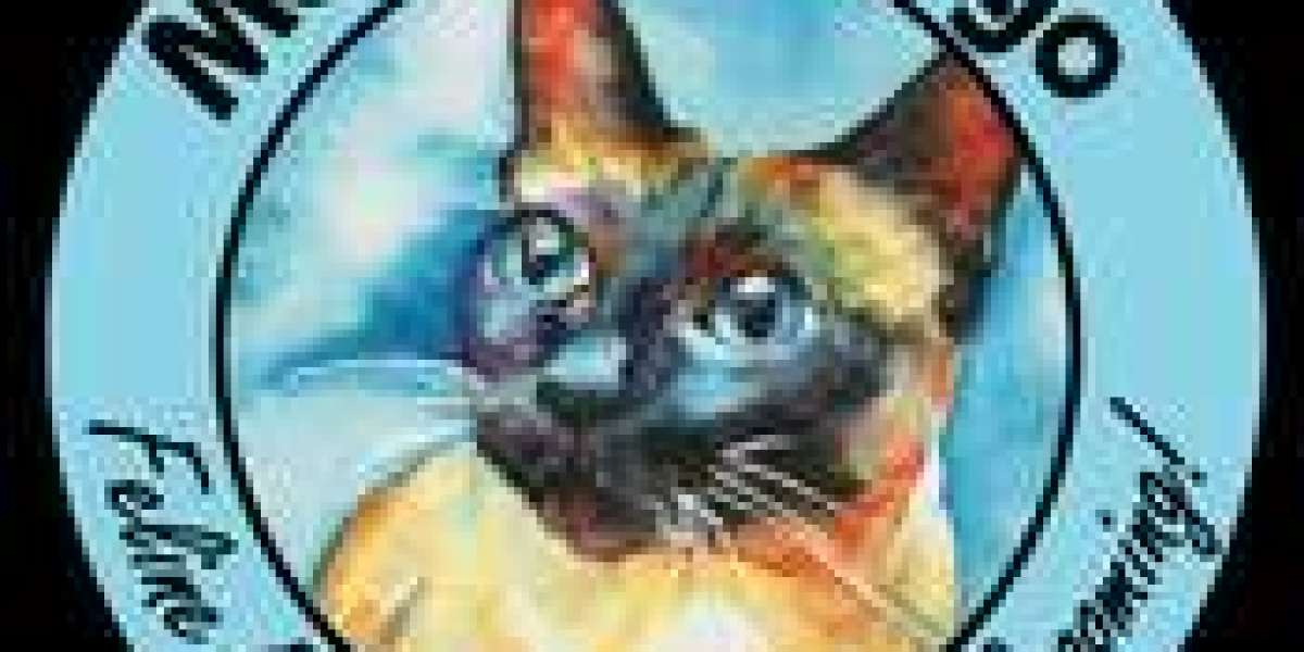 Top Benefits of Professional Cat Grooming in Chicago