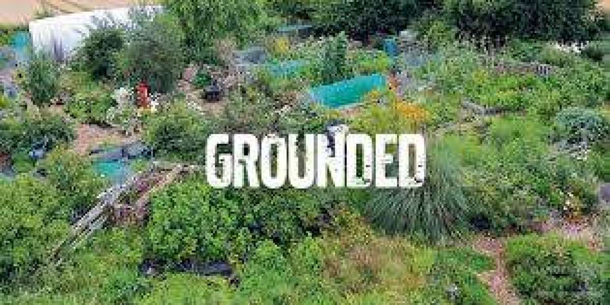Cultivating Change from Home: The Rise of Online Permaculture Courses in Australia