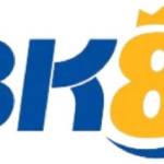 bk8 com Profile Picture