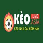 kèo Nhà cái Profile Picture