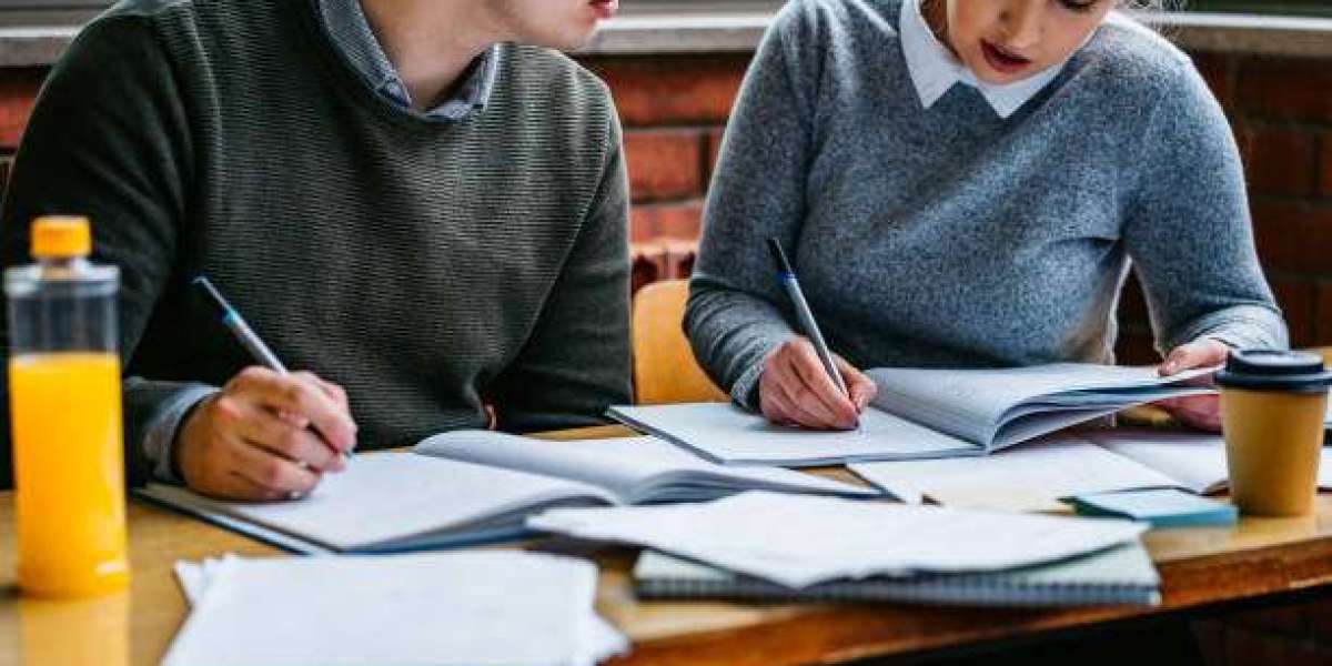 Building Strong Academic Arguments in Coursework Writing