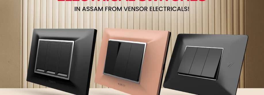 Vensor Electricals Cover Image