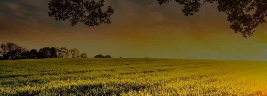 Sonny Power Cover Image