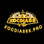 xocdia88aeorg Profile Picture