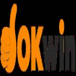okwinblog1 Profile Picture