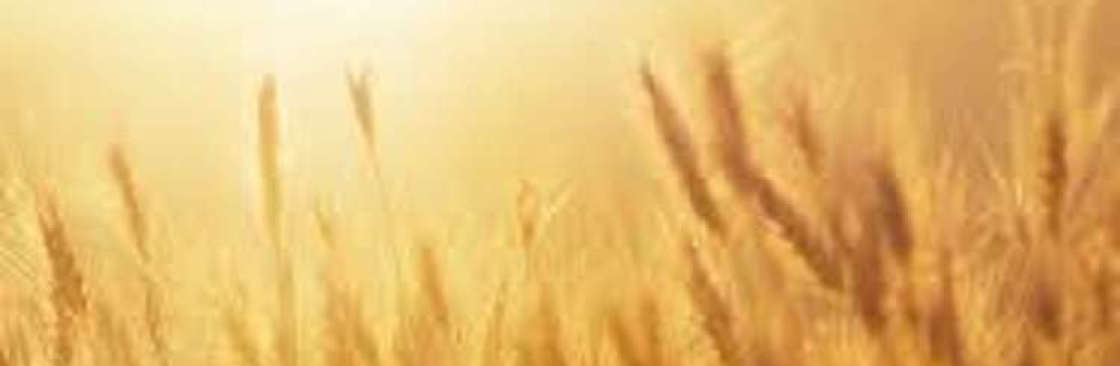 Magic Pop Machine Cover Image