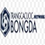 Trangcacuocbongda network Profile Picture