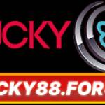 nohulucky88 Profile Picture