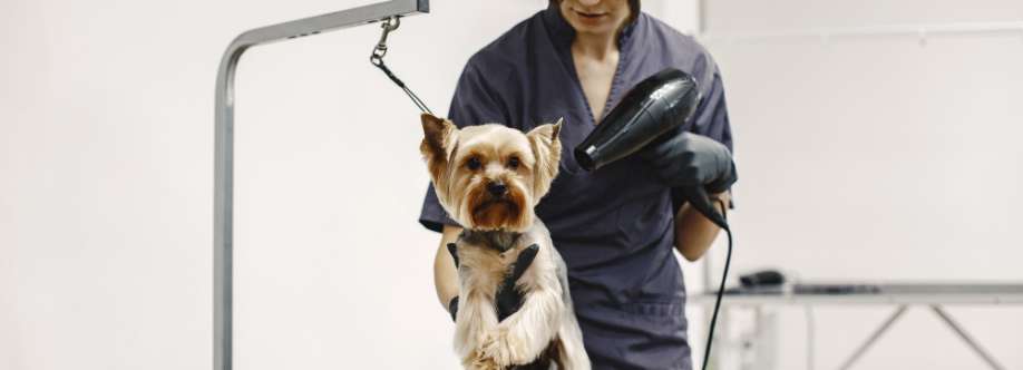 thegroomer Profile Picture