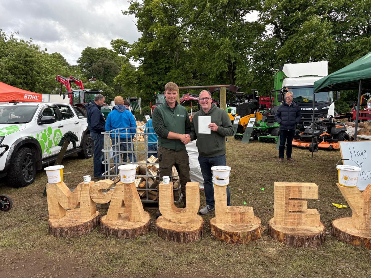 Why Should You Trust Tree Surgeons in Belfast for Your Trees? – Belfast Tree Surgeon