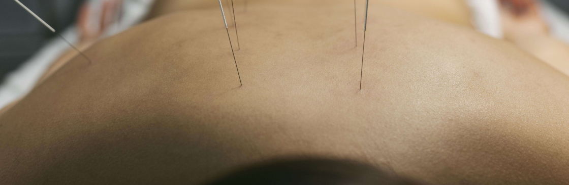 M City Holistic Cover Image