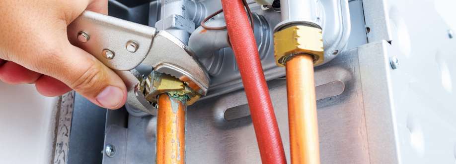 Pauline Ross Cover Image