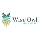 Wise Owl Tree Company Profile Picture