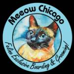 Meeow Chicago Profile Picture