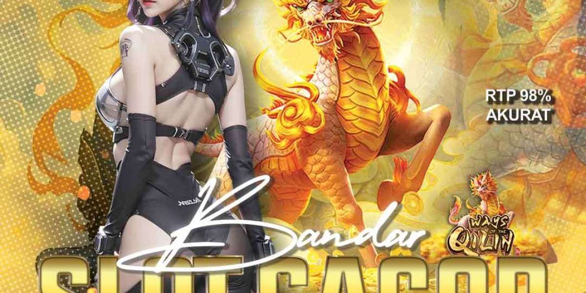 Play and win tonight on the top slot gacor malam ini